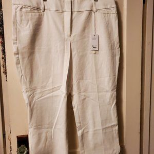 Lane Bryant The Allie Crop Dress Pant White 18 NWT